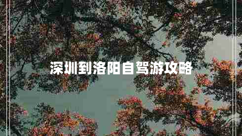 深圳到洛陽自駕游攻略