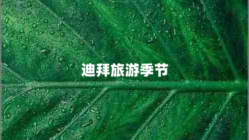 迪拜旅游季節(jié)