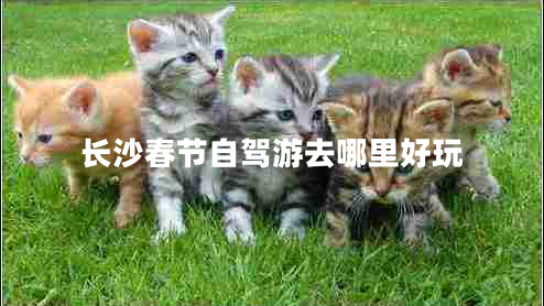 長沙春節(jié)自駕游去哪里好玩