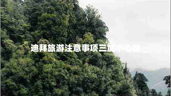 迪拜旅游注意事項(xiàng)三加小心哈