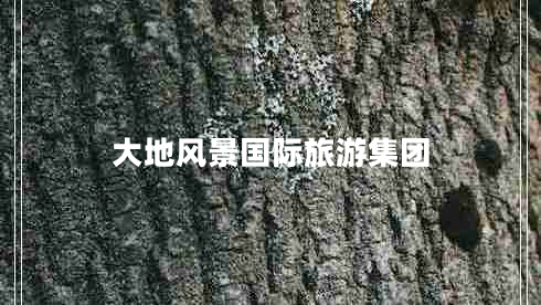 大地風(fēng)景國際旅游集團(tuán) 大地風(fēng)景國際旅游集團(tuán)