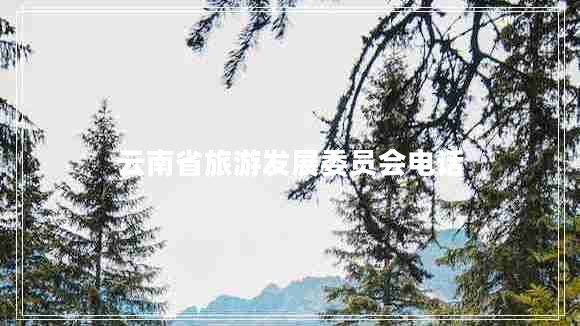 云南省旅游發(fā)展委員會電話