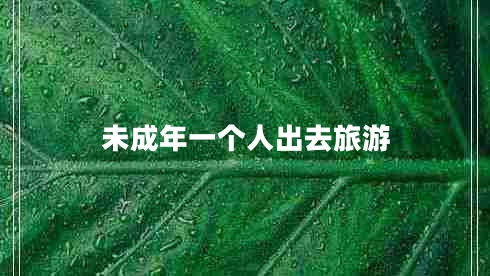 未成年一個(gè)人出去旅游 未成年一個(gè)人出去旅游
