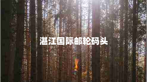 湛江國際郵輪碼頭 湛江國際郵輪碼頭