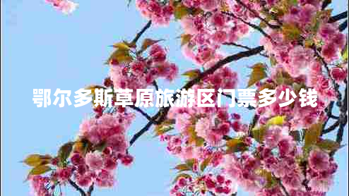 鄂爾多斯草原旅游區(qū)門票多少錢