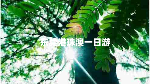 東莞港珠澳一日游