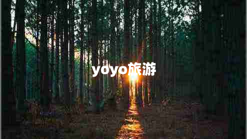 yoyo旅游 yoyo旅游