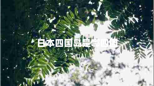 日本四國島是哪四國 日本四國島是哪四國