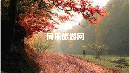 同樂(lè)旅游網(wǎng) 同樂(lè)旅游網(wǎng)