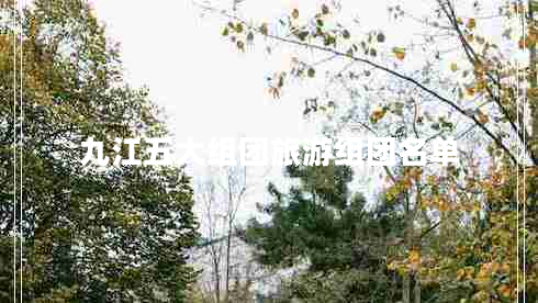 九江五大組團旅游組團名單