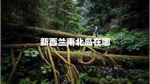 新西蘭南北島在哪 新西蘭南北島在哪