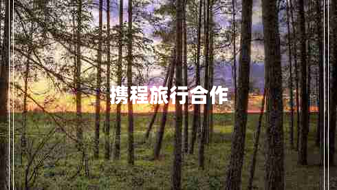 攜程旅行合作 攜程旅行合作