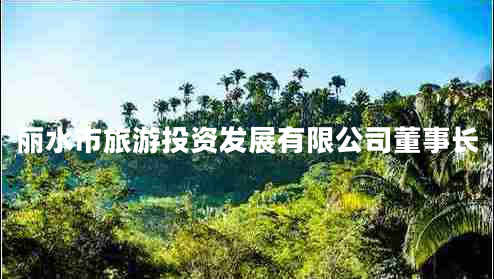 麗水市旅游投資發(fā)展有限公司董事長