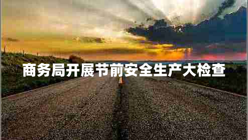 商務(wù)局開展節(jié)前安全生產(chǎn)大檢查