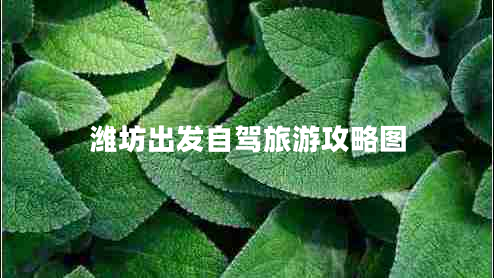 濰坊出發(fā)自駕旅游攻略圖