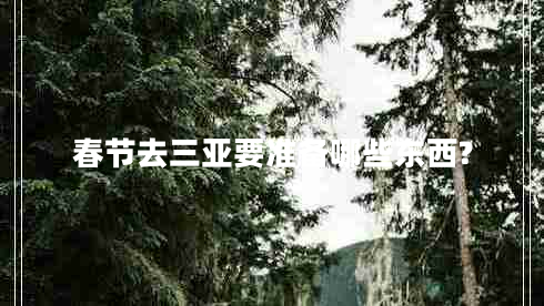 春節(jié)去三亞要準備哪些東西?