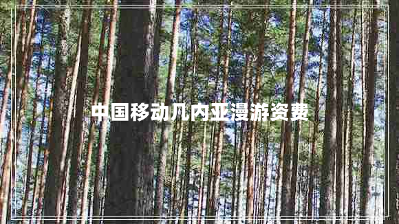 中國移動幾內(nèi)亞漫游資費