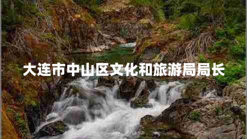 大連市中山區(qū)文化和旅游局局長 大連市中山區(qū)文化和旅游局局長