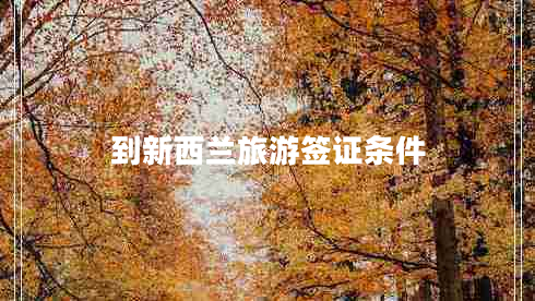 到新西蘭旅游簽證條件 到新西蘭旅游簽證條件