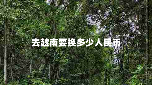 去越南要換多少人民幣