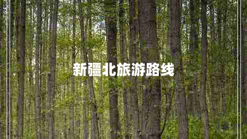 新疆北旅游路線