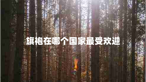 旗袍在哪個國家最受歡迎 旗袍在哪個國家最受歡迎