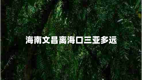 海南文昌離海口三亞多遠