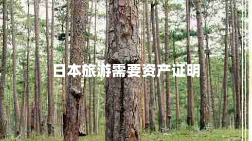 日本旅游需要資產(chǎn)證明