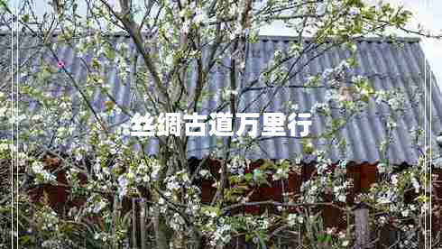 絲綢古道萬里行