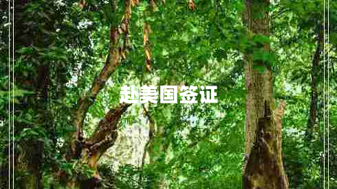 赴美國(guó)簽證 赴美國(guó)簽證