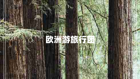 歐洲游旅行團(tuán)