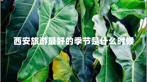 西安旅游最好的季節(jié)是什么時候