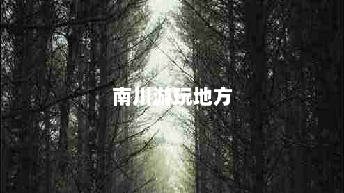 南川游玩地方
