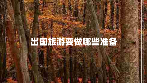 出國旅游要做哪些準(zhǔn)備