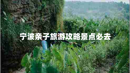 寧波親子旅游攻略景點(diǎn)必去