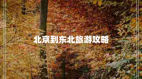 北京到東北旅游攻略