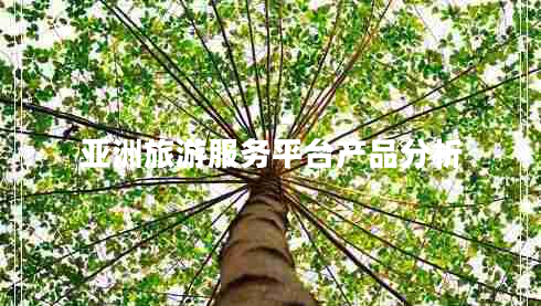 亞洲旅游服務(wù)平臺(tái)產(chǎn)品分析