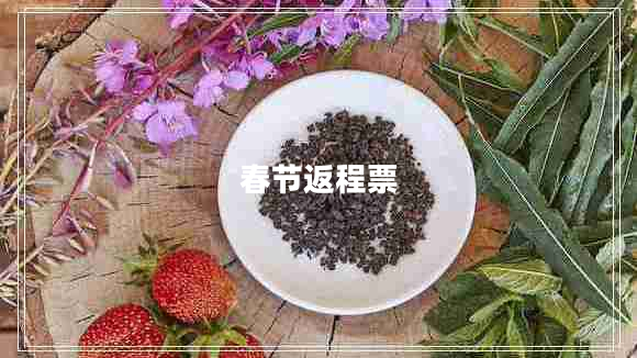 春節(jié)返程票 春節(jié)返程票