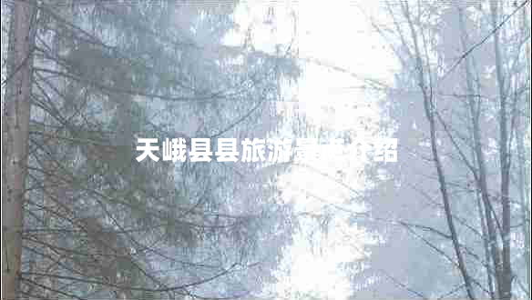 天峨縣縣旅游景點(diǎn)介紹