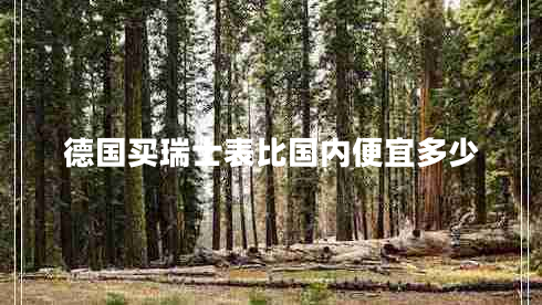 德國(guó)買(mǎi)瑞士表比國(guó)內(nèi)便宜多少 德國(guó)買(mǎi)瑞士表比國(guó)內(nèi)便宜多少