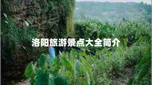 洛陽旅游景點(diǎn)大全簡介