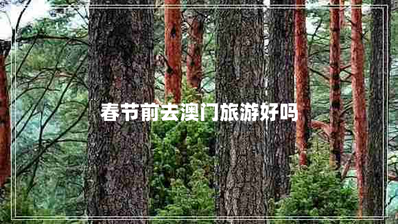 春節(jié)前去澳門旅游好嗎