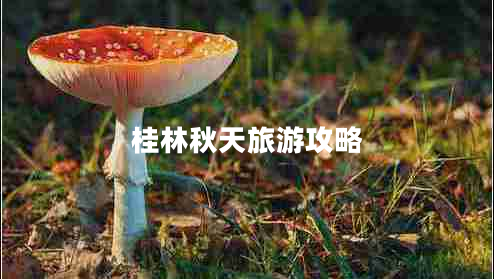 桂林秋天旅游攻略 桂林秋天旅游攻略