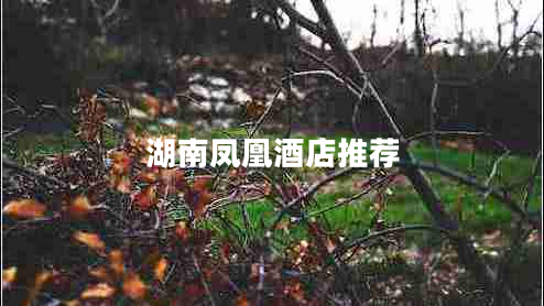 湖南鳳凰酒店推薦