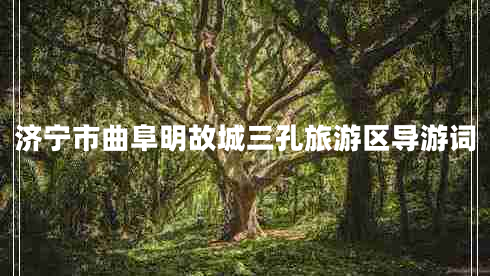 濟寧市曲阜明故城三孔旅游區(qū)導(dǎo)游詞