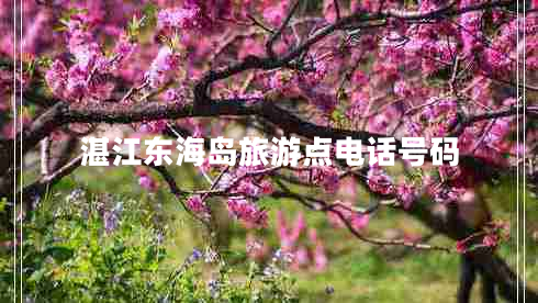 湛江東海島旅游點電話號碼