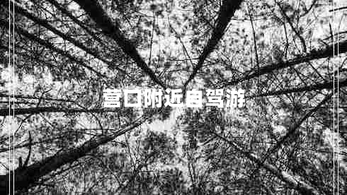 營(yíng)口附近自駕游