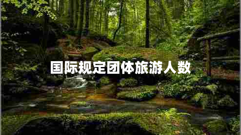 國際規(guī)定團(tuán)體旅游人數(shù)