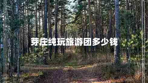 芽莊純玩旅游團多少錢