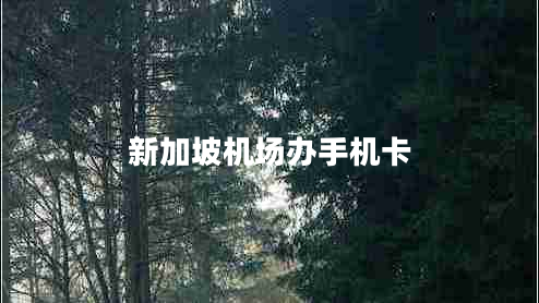 新加坡機場辦手機卡